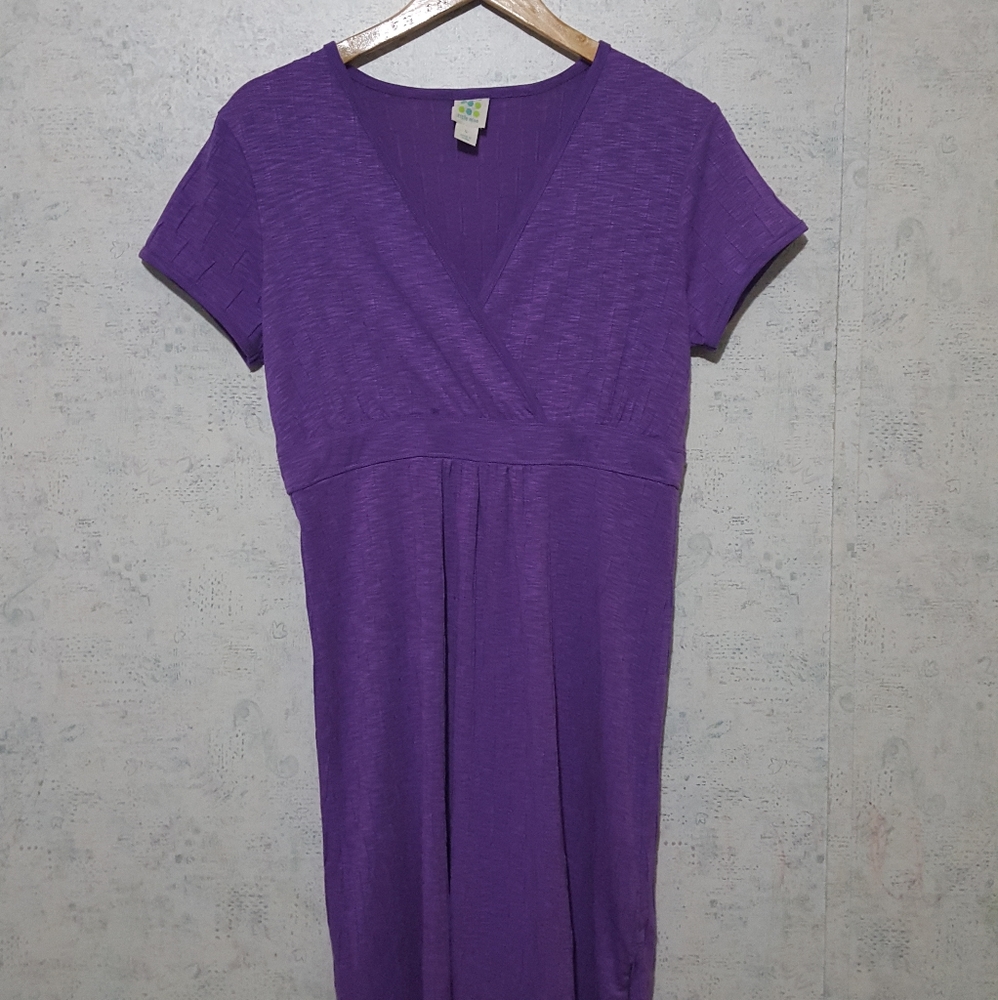 Title Nine Dress